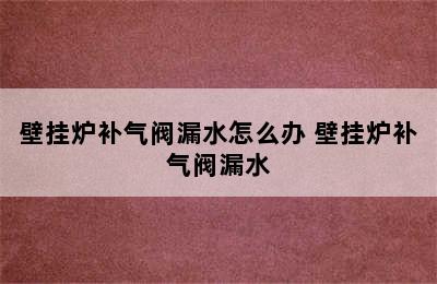 壁挂炉补气阀漏水怎么办 壁挂炉补气阀漏水